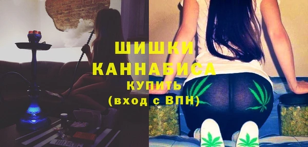 твердый Абаза