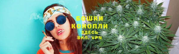 твердый Абаза