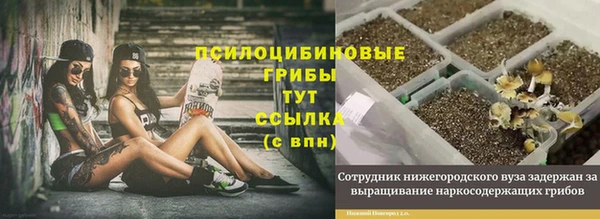 метадон Верея