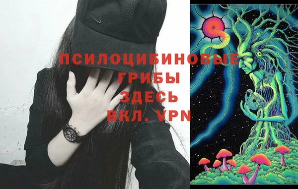 герыч Абинск