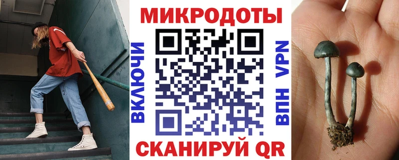 где можно купить   Усолье  Галлюциногенные грибы Magic Shrooms 